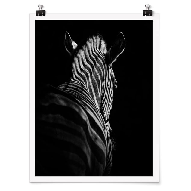 Obrazy zwierzęta Sylwetka zebry ciemnej
