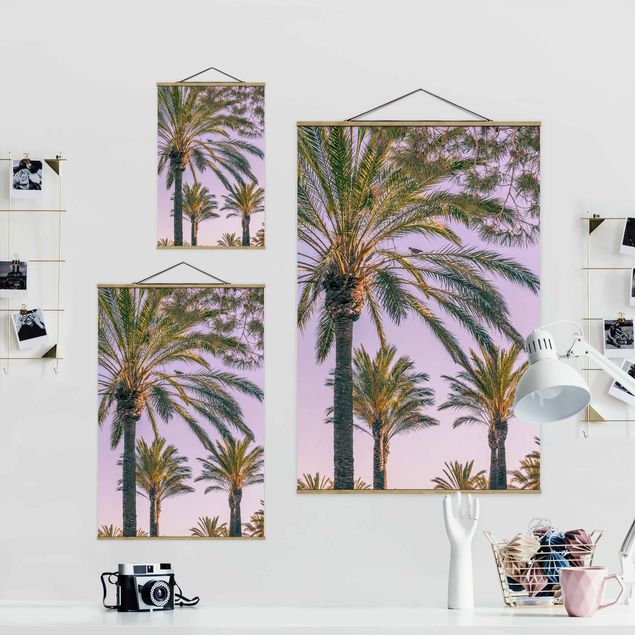 Obrazy kwiatowe Palmy w promieniach zachodzącego słońca