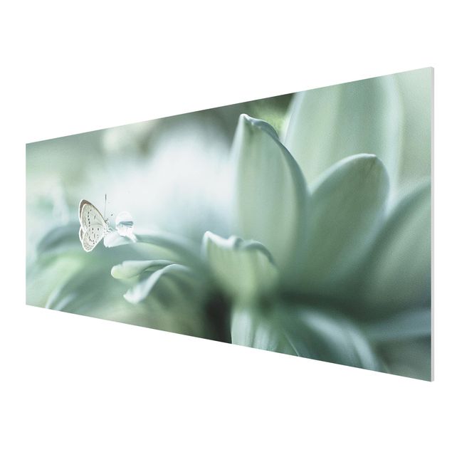 Obrazy nowoczesne Motyl i krople rosy w pastelowej zieleni