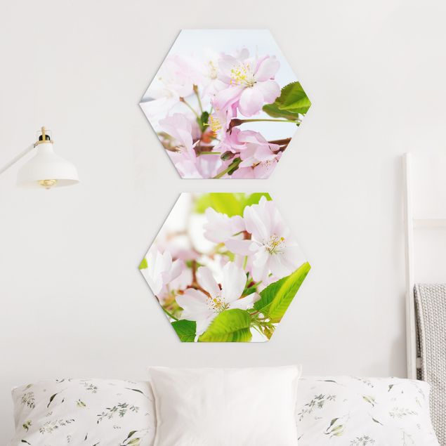 Obraz heksagonalny z Alu-Dibond 2-częściowy - Wiśnia ozdobna z kwiatami