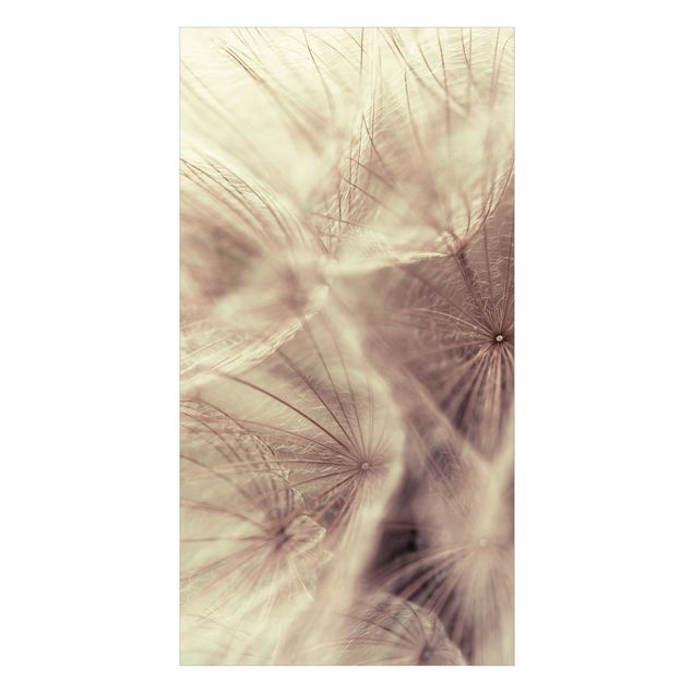 Tylna ścianka prysznicowa - Detailed Dandelion Macro Shot With Vintage Blur Effect