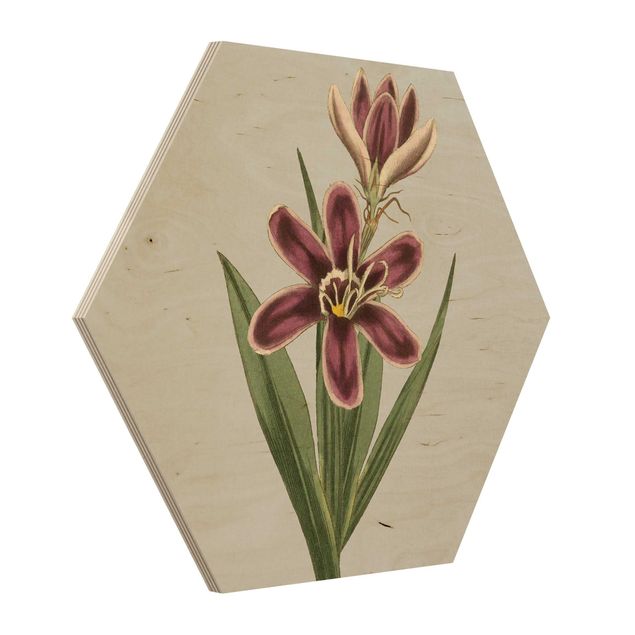 Obraz heksagonalny z drewna - Biżuteria z kwiatów II