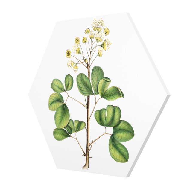 Obrazy motywy kwiatowe Liście z kwiatami IV