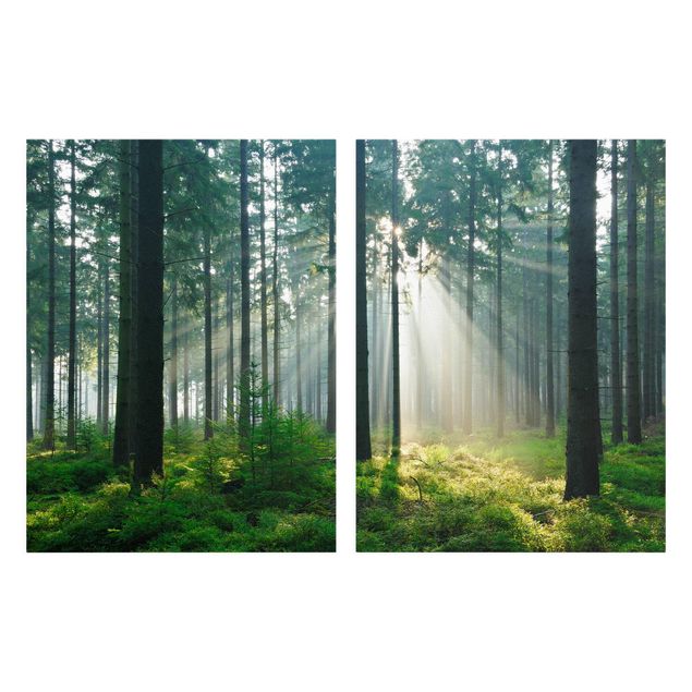 Obrazy krajobraz Świetlany las
