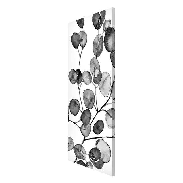 Obrazy nowoczesny czarno-biały Akwarela gałązka eukaliptusa