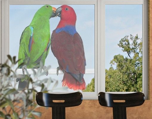 Folia okienna do sypialni Zakochane papugi
