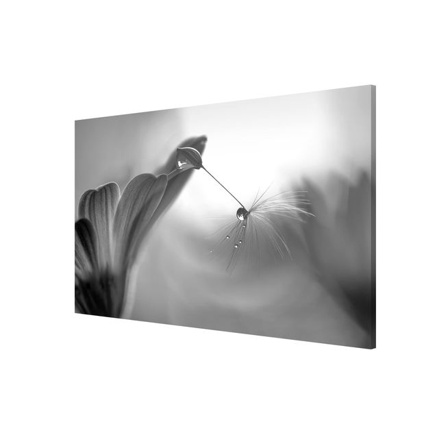 Obrazy nowoczesne Purpurowy deszcz, czarno-biały
