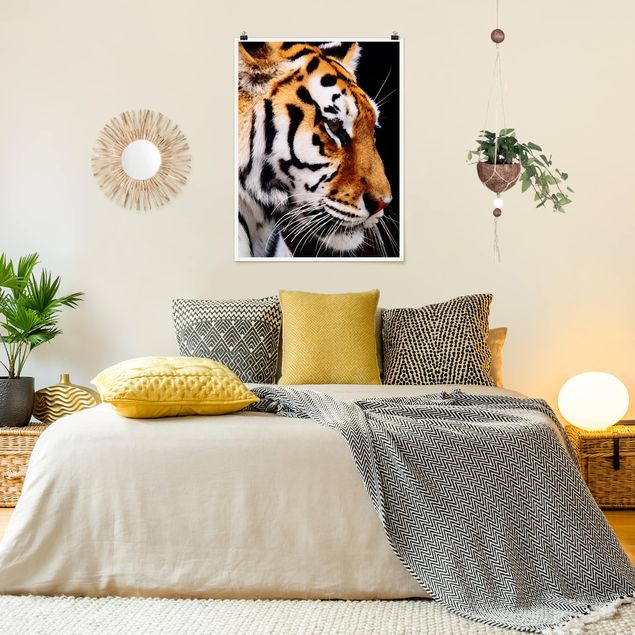 Nowoczesne obrazy do salonu Tiger Beauty