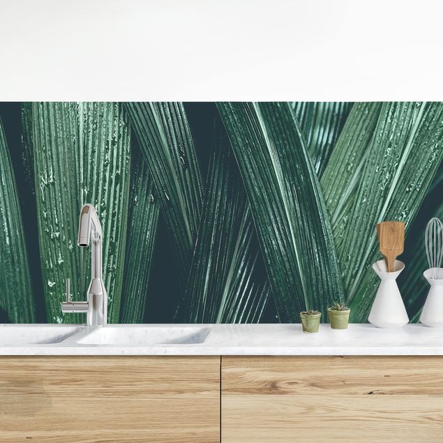 Dekoracja do kuchni Zielone liście palmy