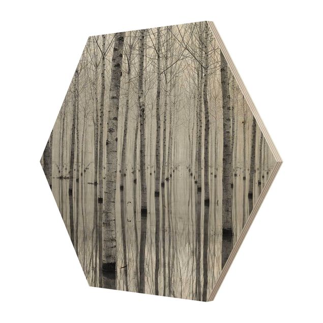 Obraz heksagonalny z drewna - Brzozy w listopadzie
