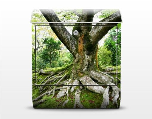 Skrzynka na listy - Stare drzewo