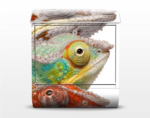 Skrzynka na listy - Kolorowy kameleon