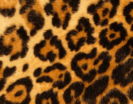 Skrzynka na listy - Skóra jaguara