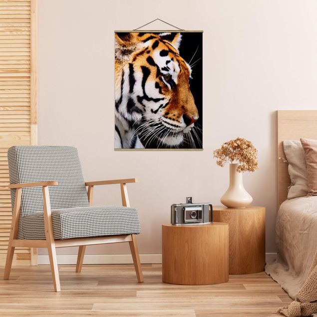 Obrazy nowoczesne Tiger Beauty