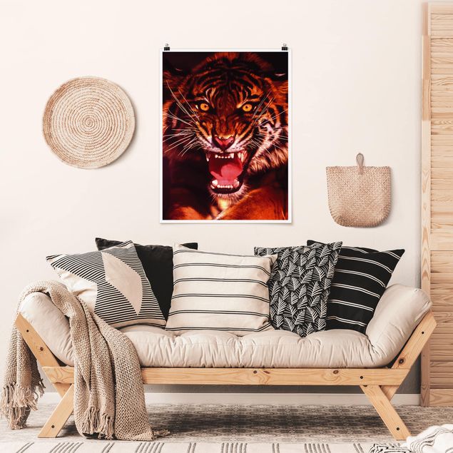 Obrazy nowoczesny Dziki tygrys