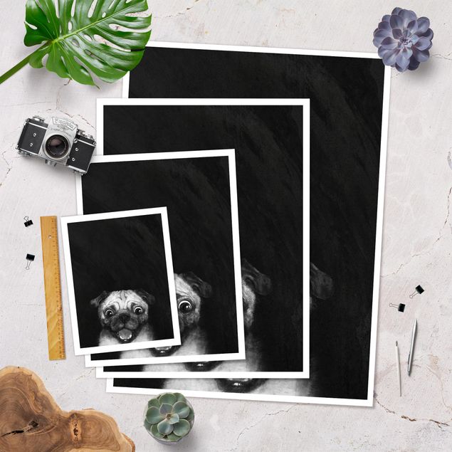 Plakaty czarno białe Ilustracja pies Pug malarstwo na czarno-biały