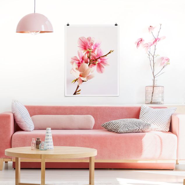 Nowoczesne obrazy Kwiaty magnolii