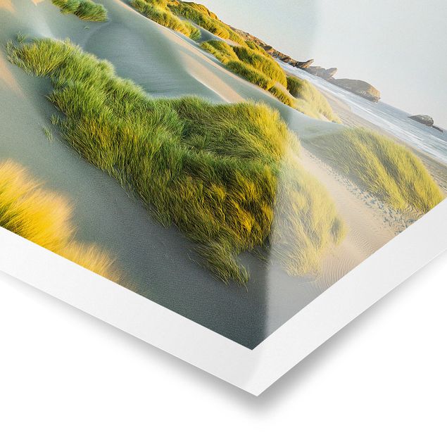 Obrazy na ścianę krajobrazy Wydmy i trawy nad morzem