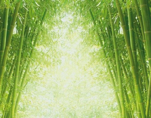 Skrzynka na listy - Droga bambusowa