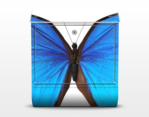 Skrzynka na listy - Motyl morfiny niebieskiej