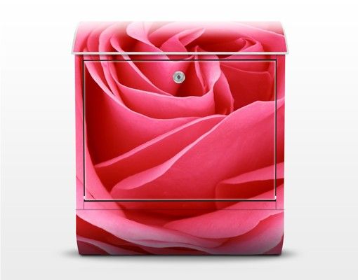 Skrzynka na listy - Różowa róża pełna wdzięku