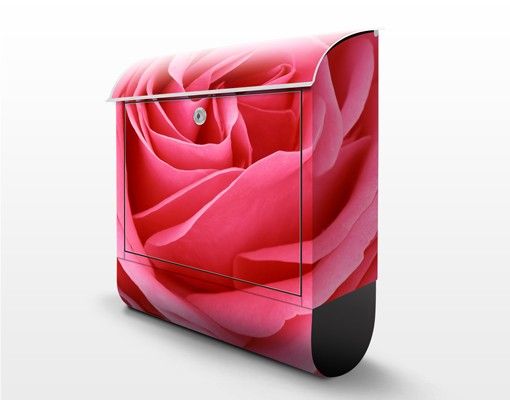 Skrzynka na listy - Różowa róża pełna wdzięku