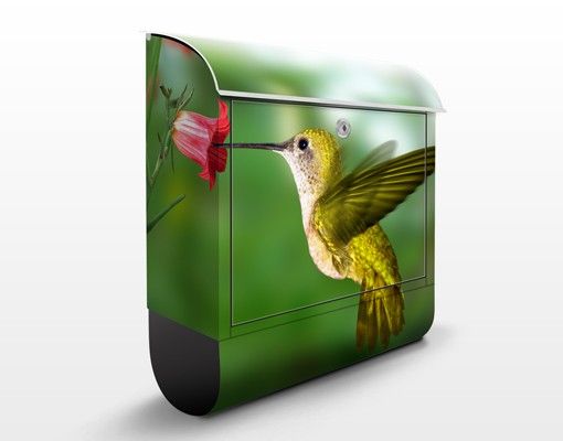 Skrzynka pocztowa Koliber i kwiat