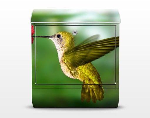 Skrzynka na listy - Koliber i kwiat