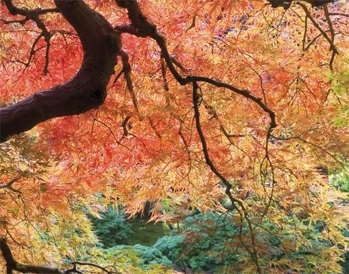 Skrzynka na listy - Ogród japoński