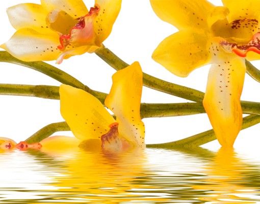 Skrzynka na listy - Saffron Orchid Waters