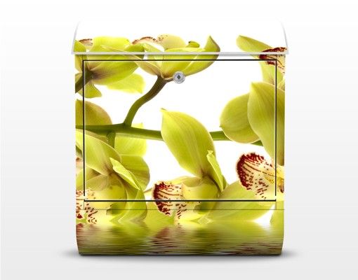 Skrzynka na listy - Wspaniałe wody orchidei