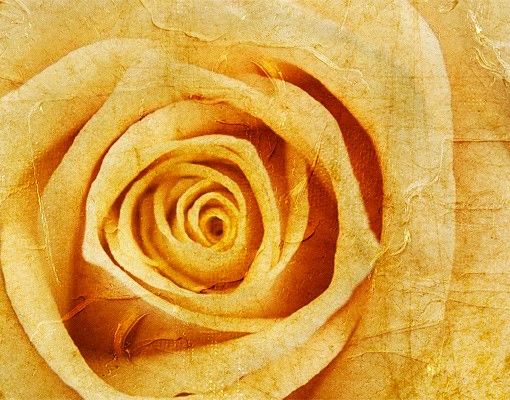 Skrzynka na listy - Vintage Rose