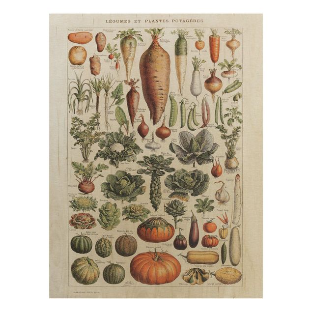 Obrazy Tablica edukacyjna w stylu vintage Warzywa