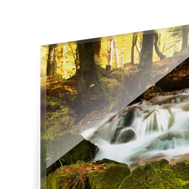 Panel szklany do kuchni - Wodospad jesienny las