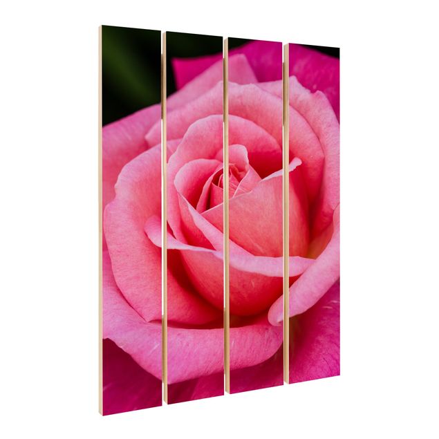 Obraz z drewna - Kwiat różowej róży na tle zieleni