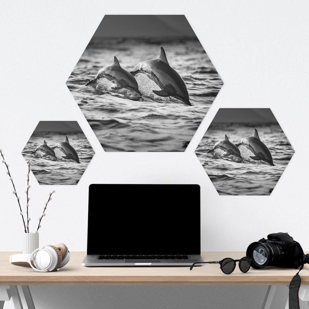 Obraz heksagonalny z Forex - Dwa skaczące delfiny