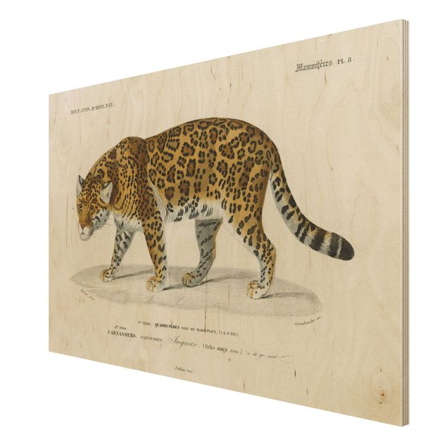 Obrazy na drewnie Tablica edukacyjna w stylu vintage Jaguar