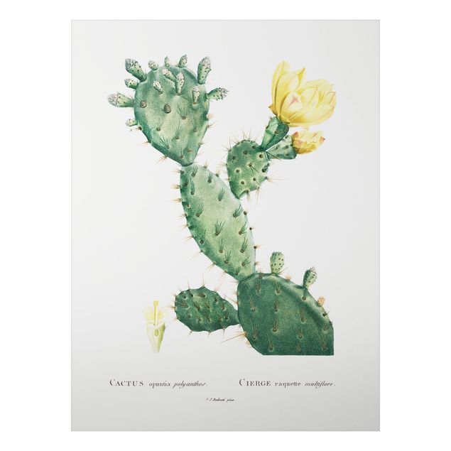 Obrazy do salonu nowoczesne Botani Vintage Ilustracja kaktusa z żółtym kwiatem