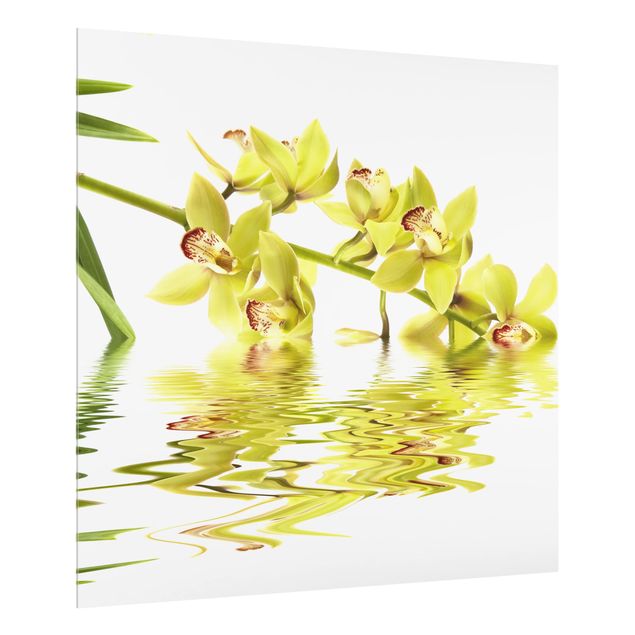 Panel szklany do kuchni - Eleganckie wody orchidei