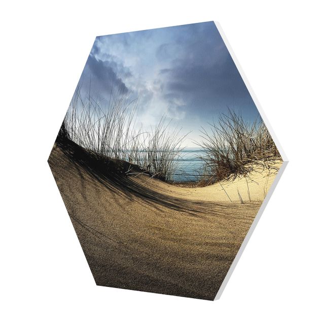 Obrazy plaża Wydma piaszczysta