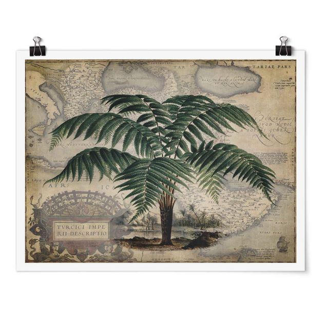 Obrazy krajobraz Kolaż w stylu vintage - drzewo palmowe i mapa świata