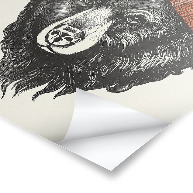 Plakaty czarno białe Ilustracja Niedźwiedź z czerwoną czapką Rysunek