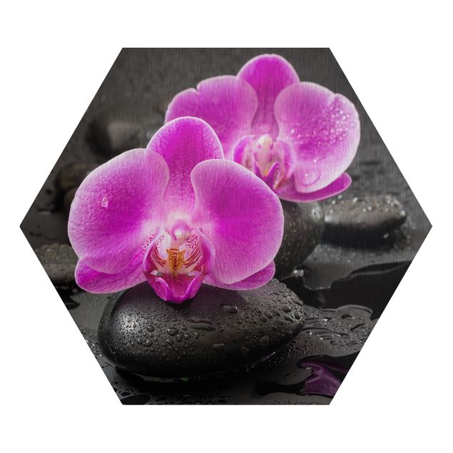 Obrazy nowoczesny Kwiaty różowej orchidei na kamieniach z kroplami