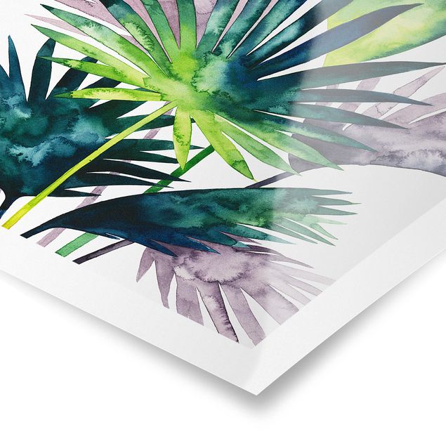 Obrazy na ścianę Egzotyczne liście - Fan Palm