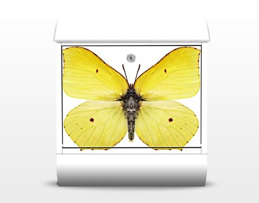 Skrzynka na listy - Motyl cytrynowy