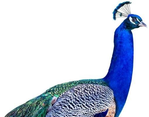 Skrzynka na listy - Nr 320 Peacock