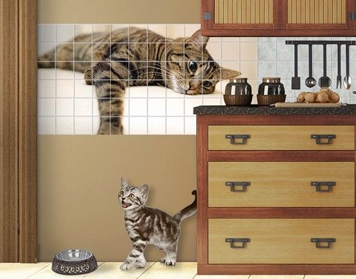 Dekoracja do kuchni Wyluzuj kotka