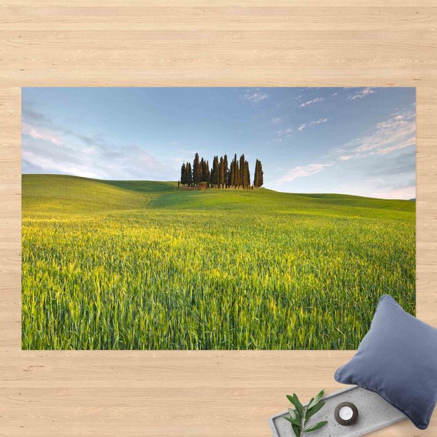 dywan ogrodowy Zielone pole w Toskanii