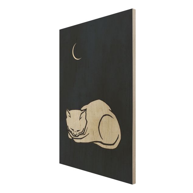 Obrazy z drewna Ilustracja przedstawiająca śpiącego kota