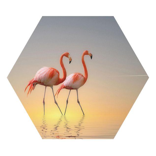 Obrazy Afryka Miłość flaminga